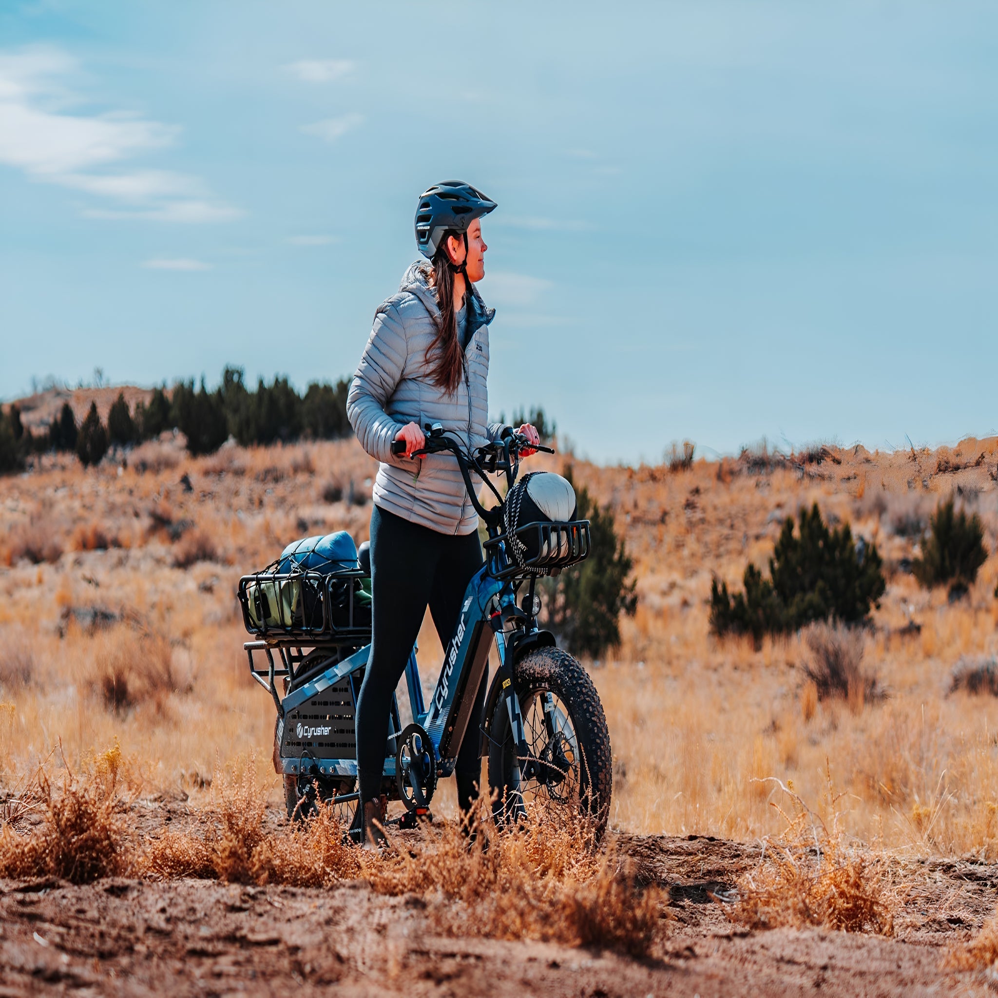 Cyrusher Glider Cargo E-Bike