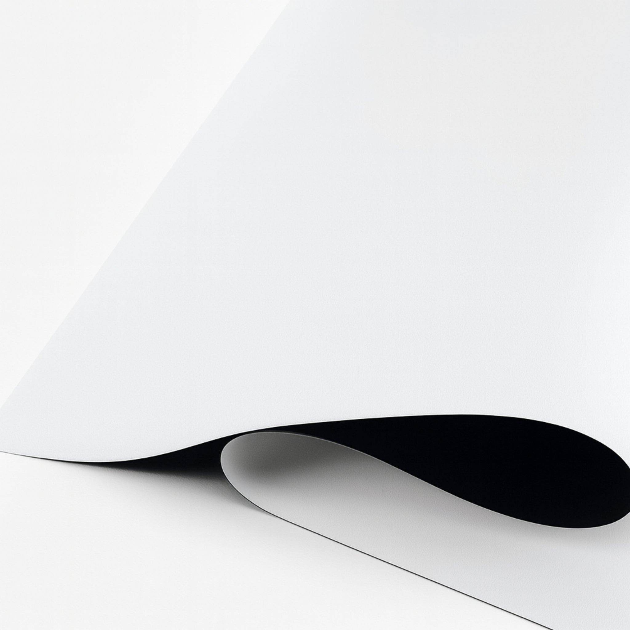 Elite Outdoor Movies Platinum 32' Inflatable Screen